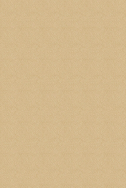 Overhead view of leopard print Leopardo carpet in beige colour
