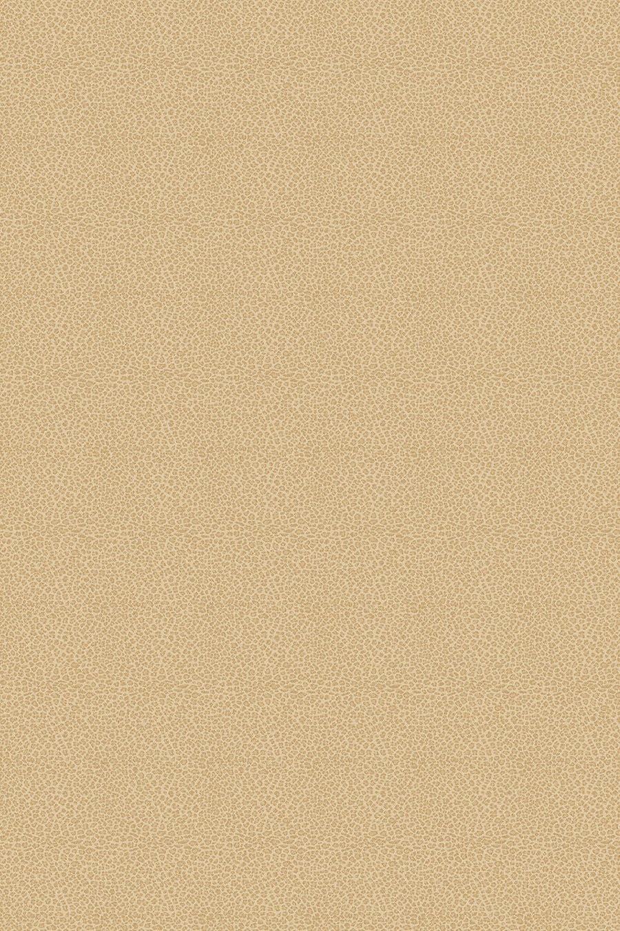 Overhead view of leopard print Leopardo carpet in beige colour