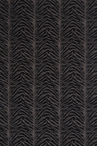 Overhead image of tiger print Tigre carpet in black