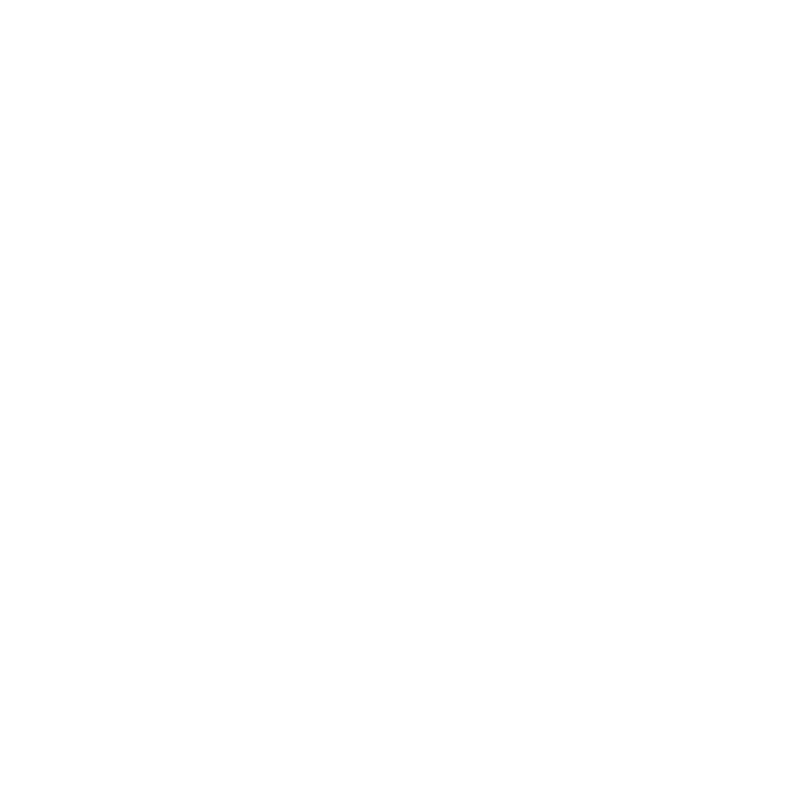 designer rugs- evolve 2025