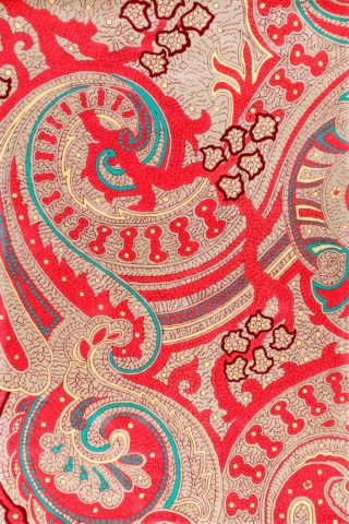 Overhead image of pink Paisley rug by Vixen