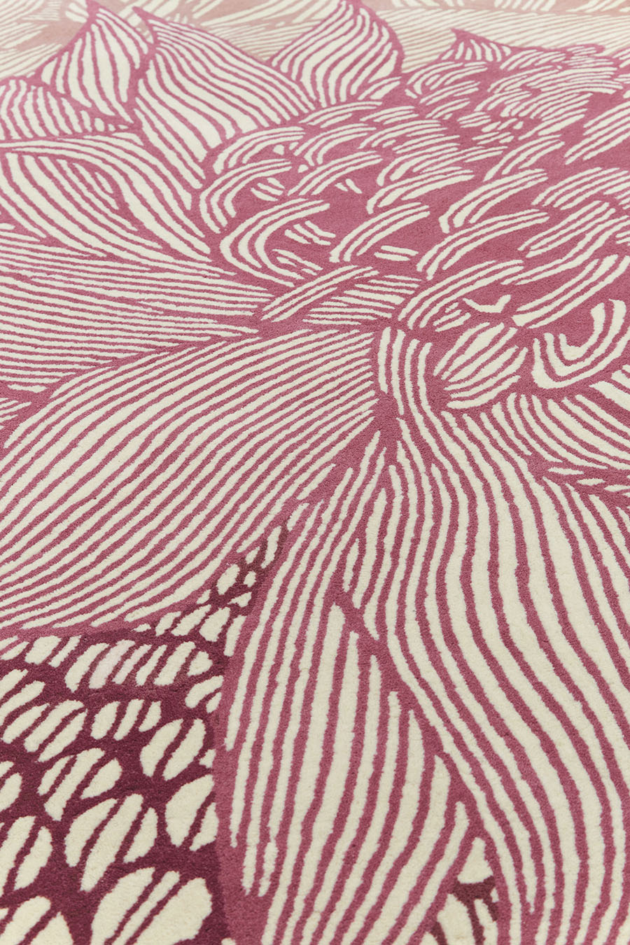 Close Up image of pink floral Telopea Bloom rug