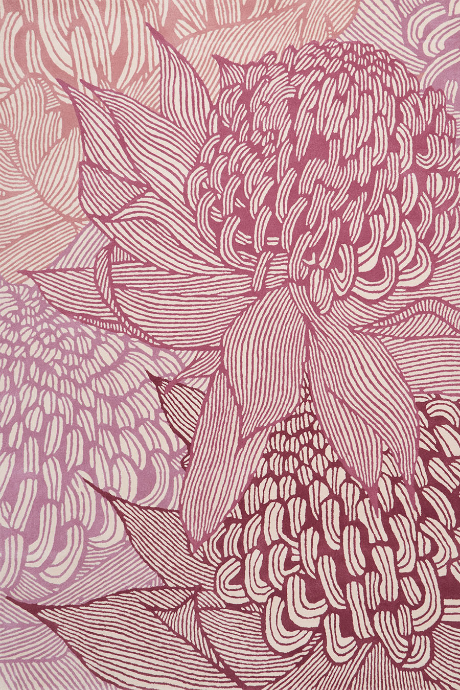 Overhead image of pink floral Telopea Bloom rug