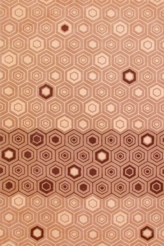 overhead of nishijin 3 rug by akira in beige geometric hexagon pattern