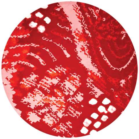 overhead of shibori round rug by akira in red abstract pattern