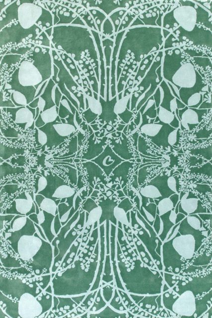 overhead of eucalyptus rug by catherine martin green