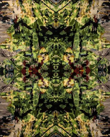 overhead of amazon spirit rug by derryn tal