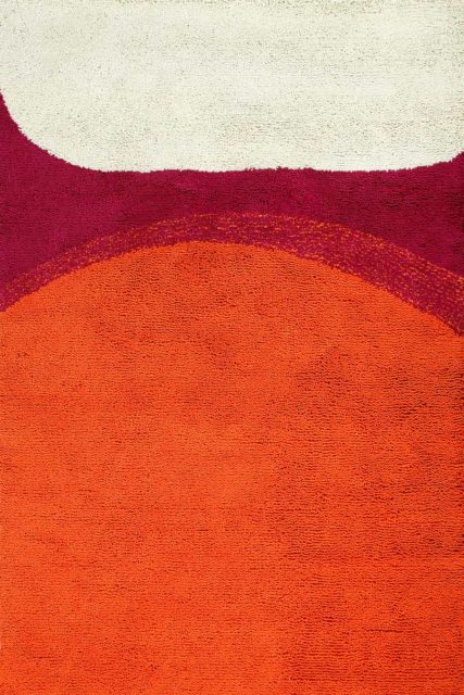 overhead of sunrise rug by dinosaur designs