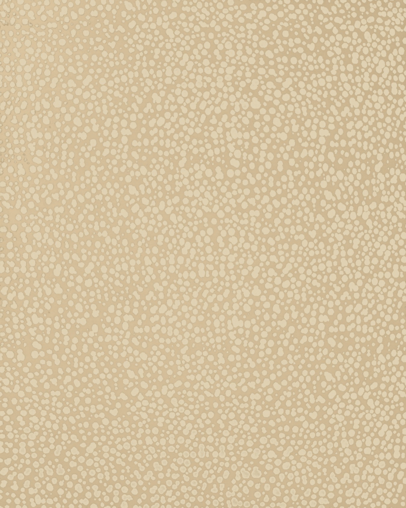 overhead of dapple rug by greg natale white dots on white background