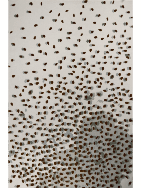 overhead image of the Seeds rugs designed by designer rugs