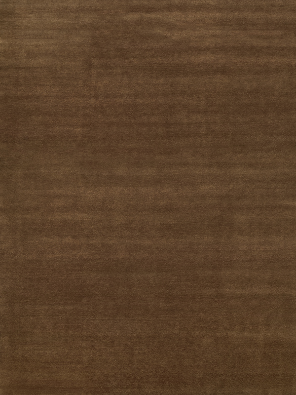 overhead image of the dark Bronze texture rug