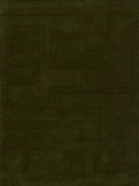 overhead image of the bowie forest