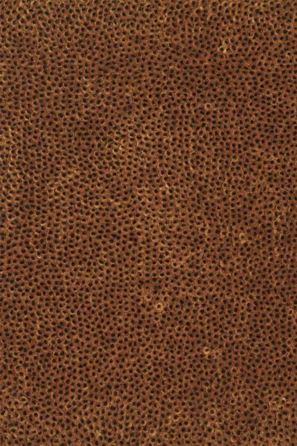 Close up view of textured Coral Cut Pile rug in brown colour