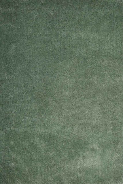 Overhead view of textured Coral Cut Pile rug in green colour