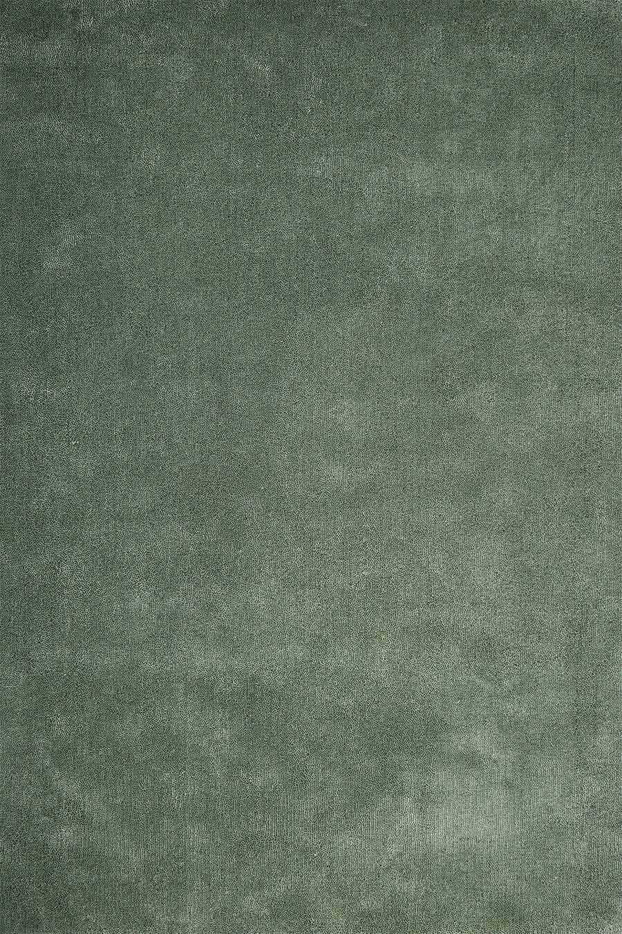 Overhead view of textured Coral Cut Pile rug in green colour