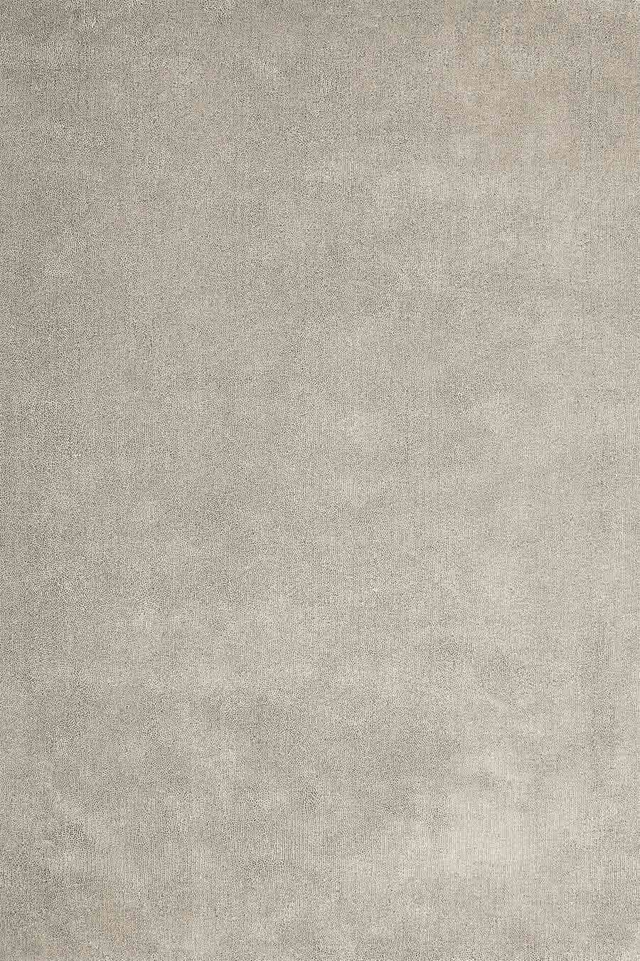 Overhead view of textured Coral Cut Pile rug in beige colour