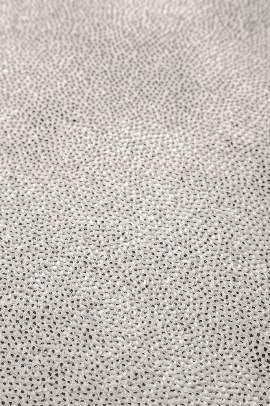 Detailed view of textured Coral Cut Pile rug in beige colour