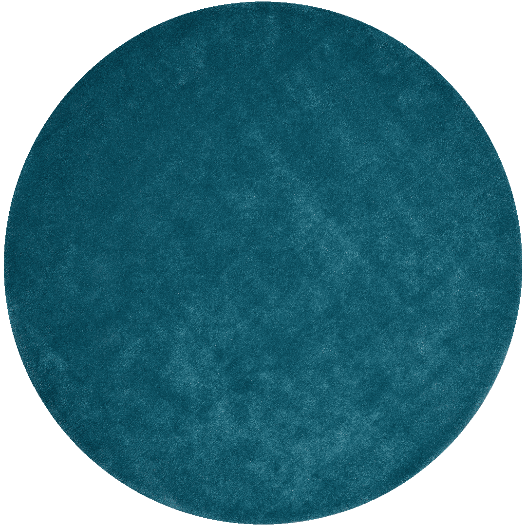 Overhead view of textured Napoleon Cut Pile rug in teal colour